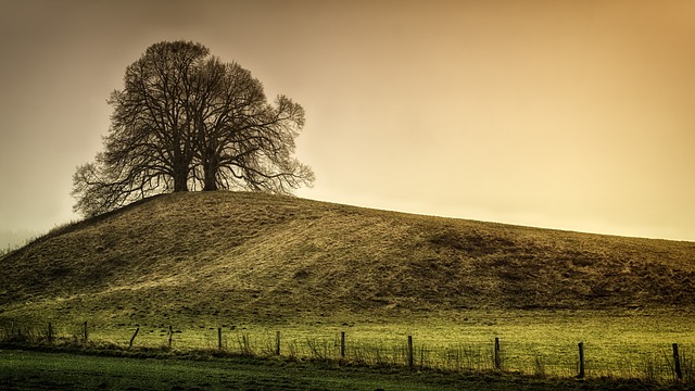 rural