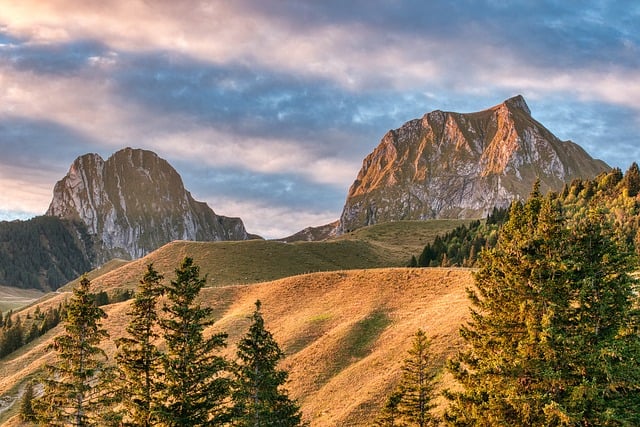 landscape