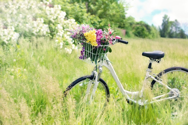 countryside