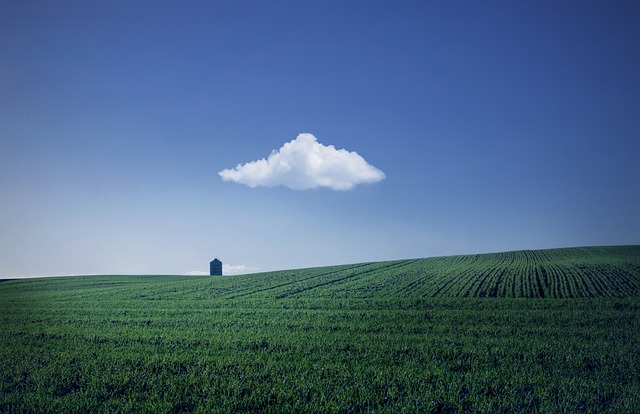 rural